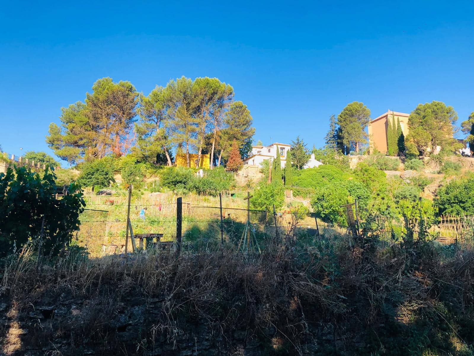6 soveværelse Finca/Landehus til salg i Ronda med swimmingpool garage - € 698.000 (Ref: 9676509)