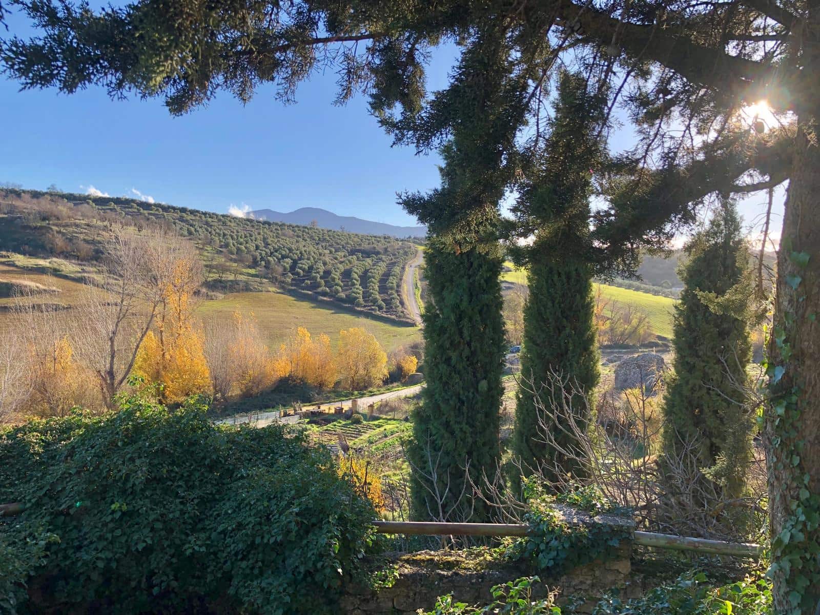 6 soveværelse Finca/Landehus til salg i Ronda med swimmingpool garage - € 698.000 (Ref: 9676509)