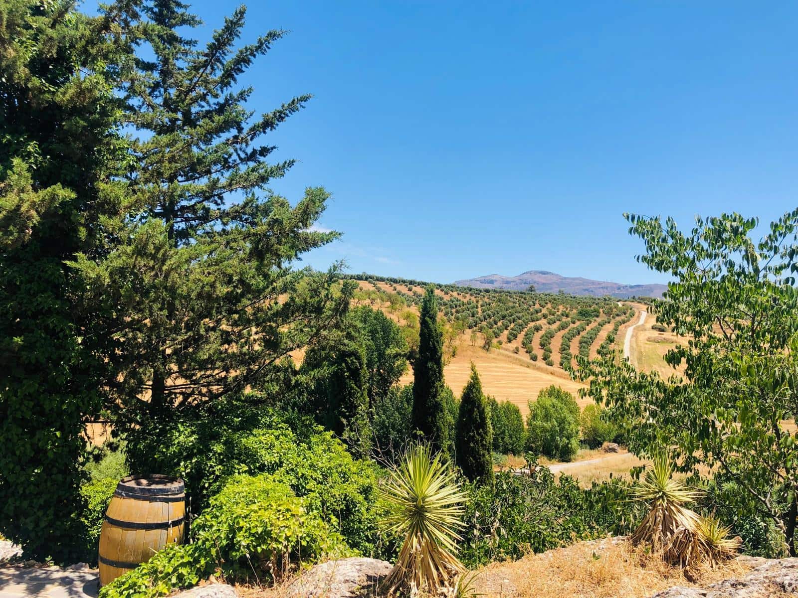 6 soveværelse Finca/Landehus til salg i Ronda med swimmingpool garage - € 698.000 (Ref: 9676509)