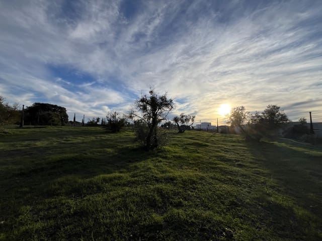 Solar/Parcela en Arriate en venta - 60.000 € (Ref: 9758100)