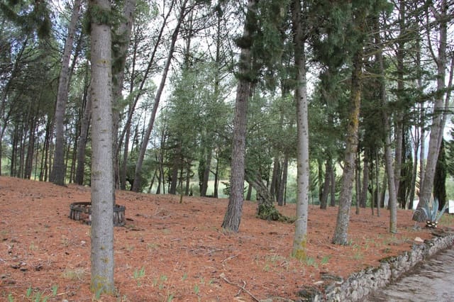 3 quarto Quinta/Casa Rural para venda em Ronda com piscina - 525 000 € (Ref: 9758177)