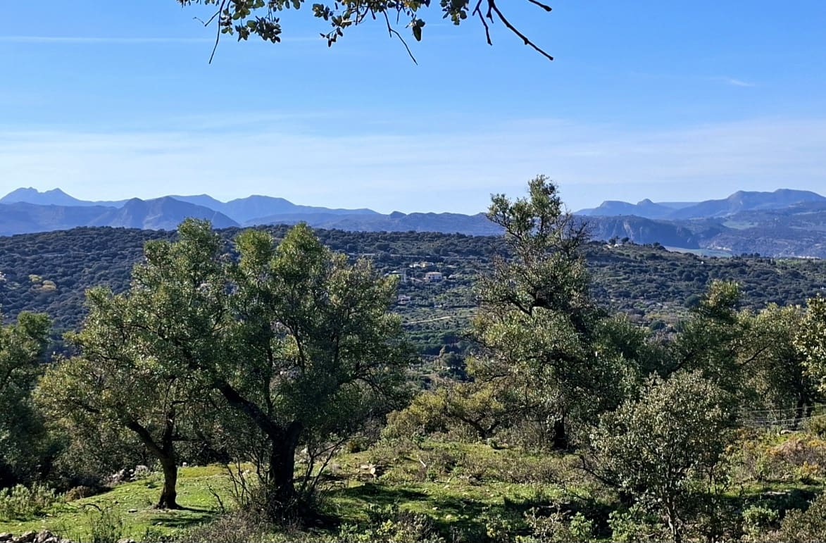 1 chambre Finca/Maison de Campagne à vendre à Ronda - 598 000 € (Ref: 9761525)