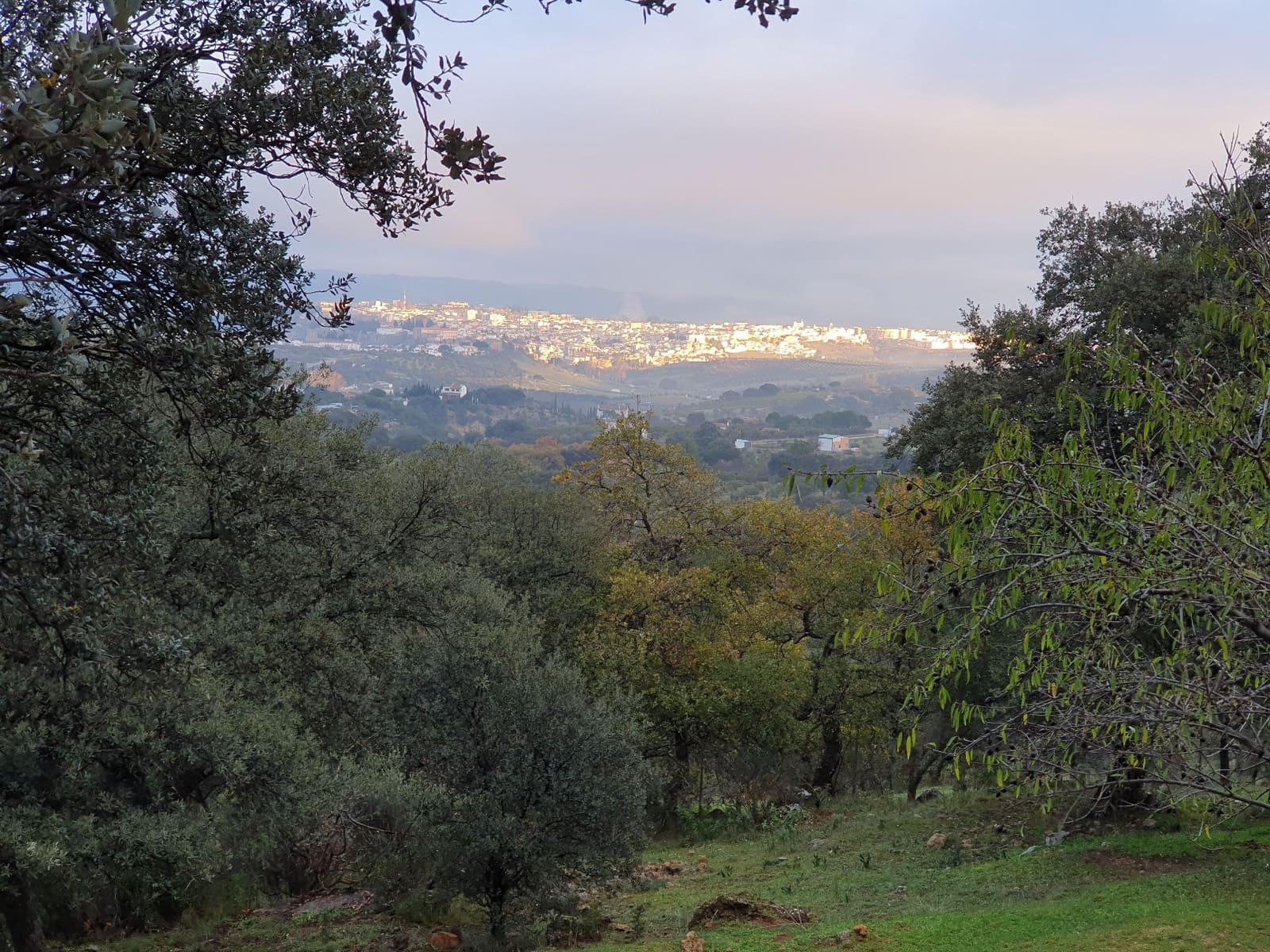 1 chambre Finca/Maison de Campagne à vendre à Ronda - 598 000 € (Ref: 9761525)
