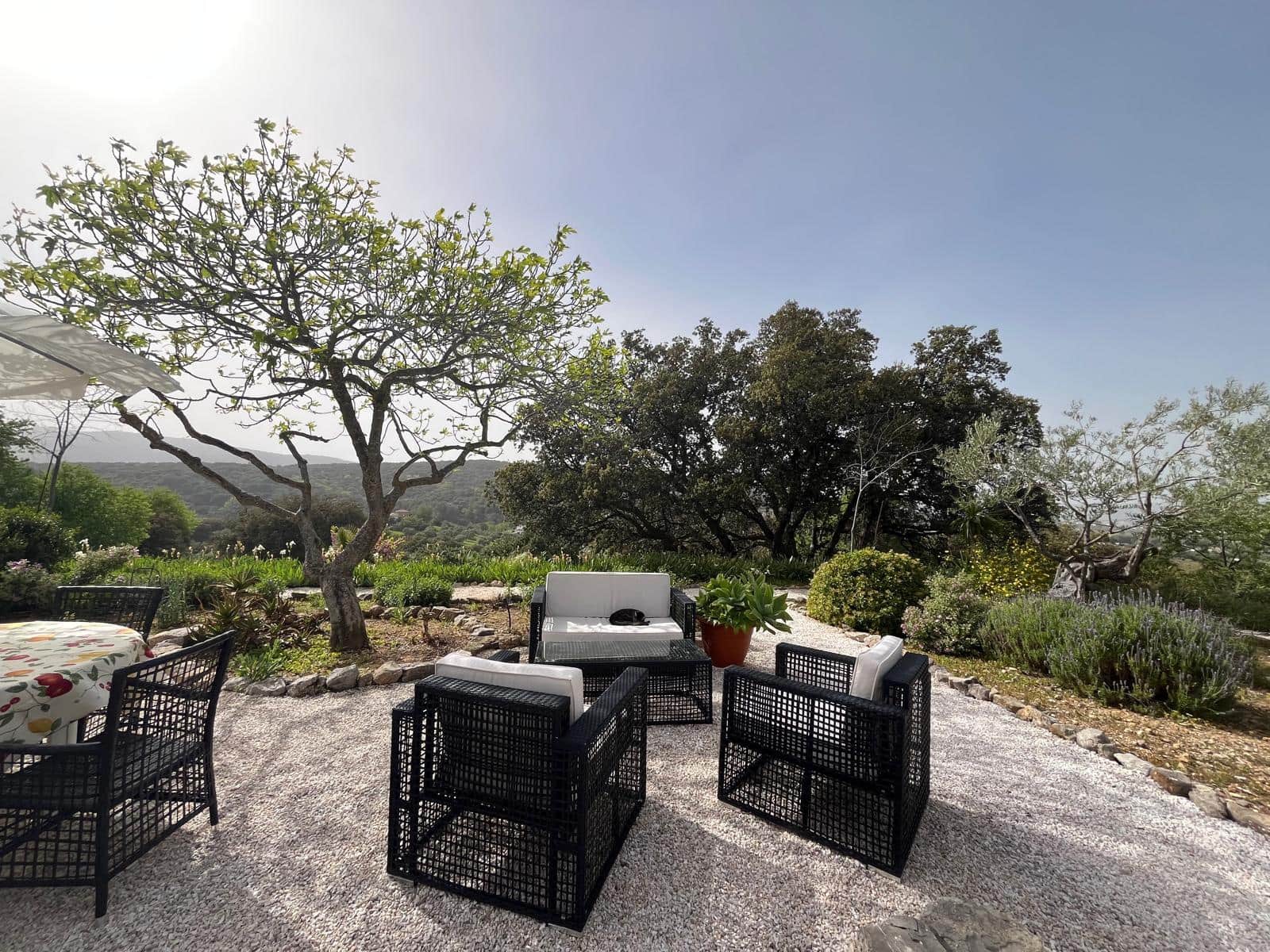 1 chambre Finca/Maison de Campagne à vendre à Ronda - 598 000 € (Ref: 9761525)