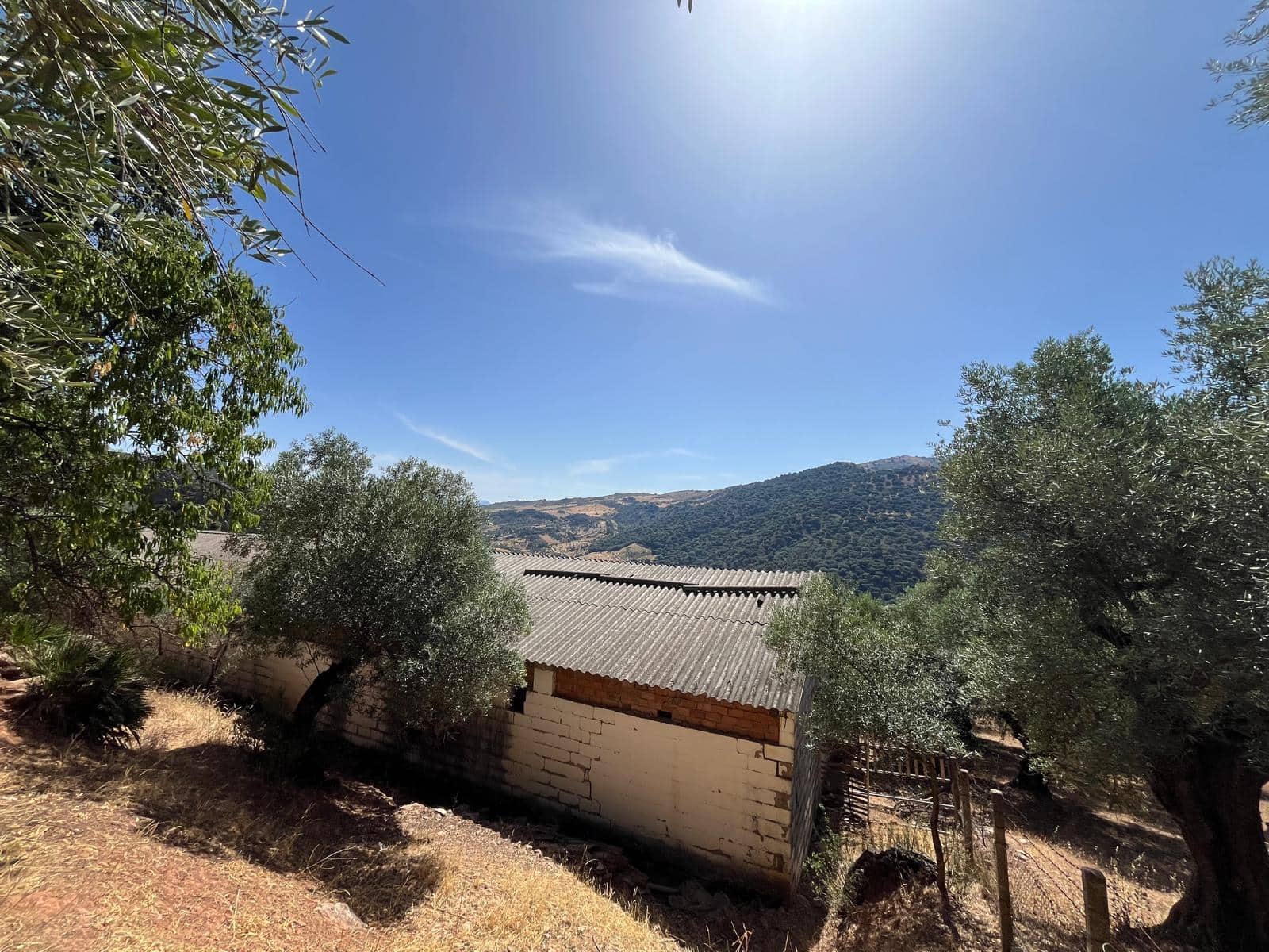 Finca/Country House for sale in Benaojan - € 138,000 (Ref: 9964400)