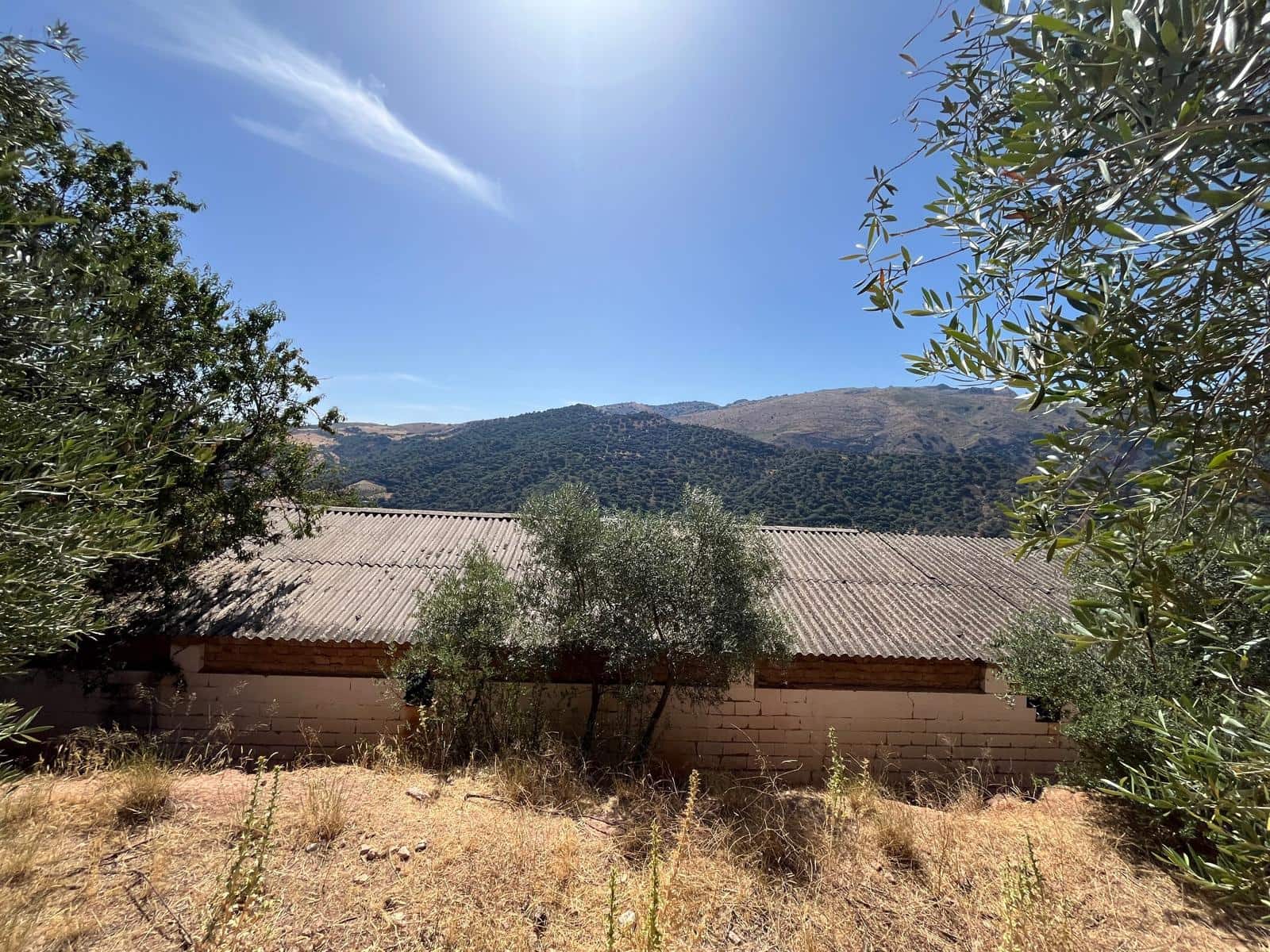 Finca/Country House for sale in Benaojan - € 138,000 (Ref: 9964400)