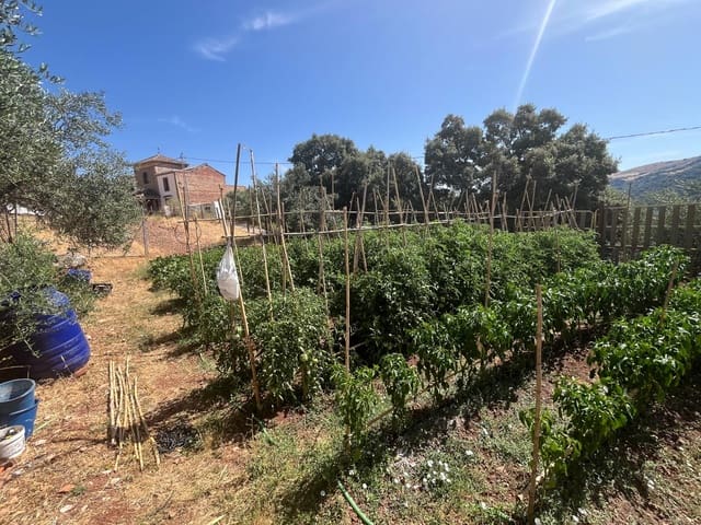 Finca/Casa di Campagna in vendita in Benaoján - 138.000 € (Rif: 9964400)