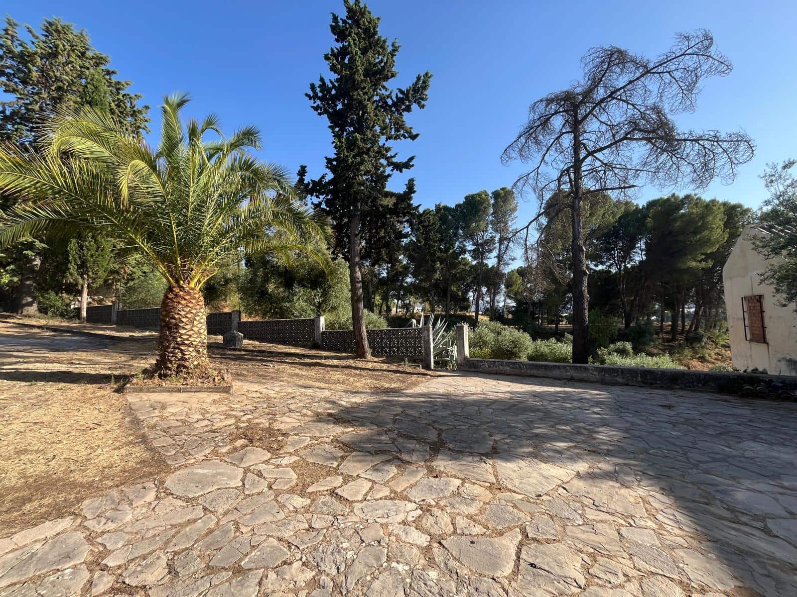 Finca/Landehus til salg i Ronda med swimmingpool - € 729.000 (Ref: 9980526)