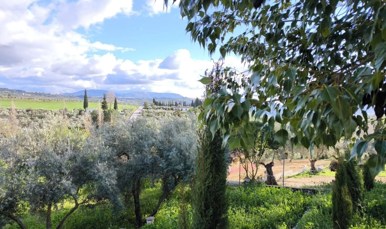 Finca/Casa Rural de 2 habitaciones en Arriate en venta con piscina garaje - 350.000 € (Ref: 9996349)