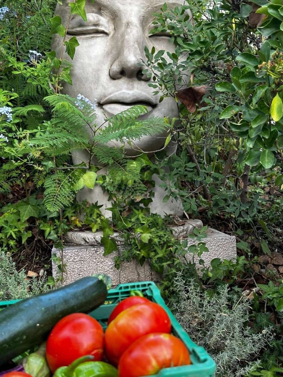 3 camera da letto Villa in vendita in El Padron con piscina - 1.045.000 € (Rif: 9448529)