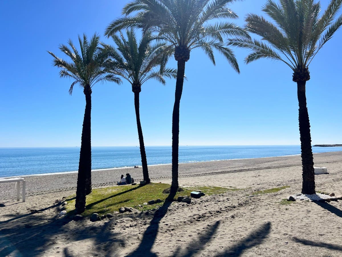 Commercial for sale in Casares with pool - € 1,295,550 (Ref: 9634027)