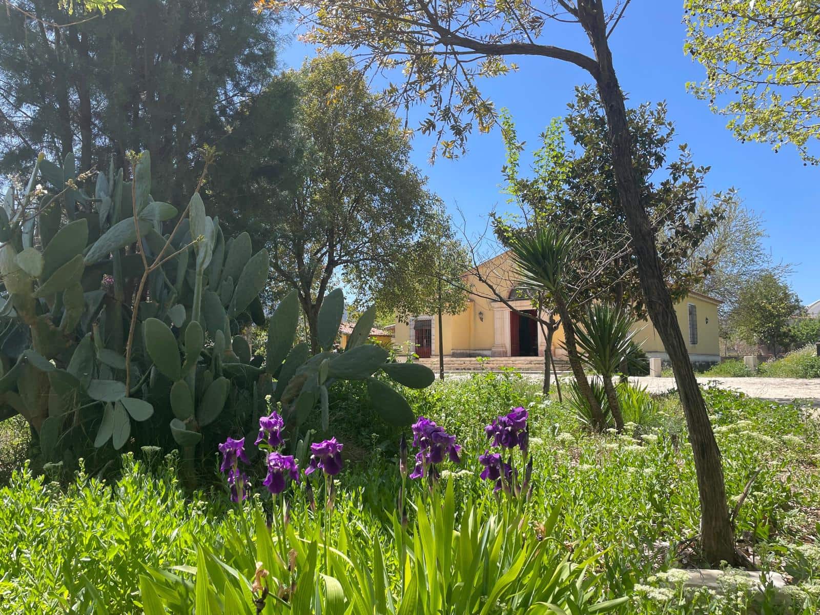 3 bedroom Finca/Country House for sale in Cehegin with pool garage - € 395,000 (Ref: 8921850)