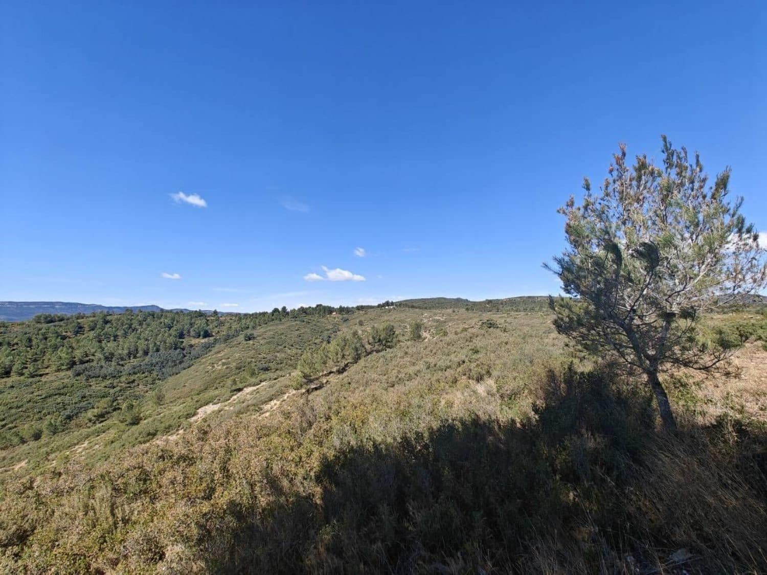 5 soveværelse Villa til salg i Yatova - € 85.000 (Ref: 8312294)