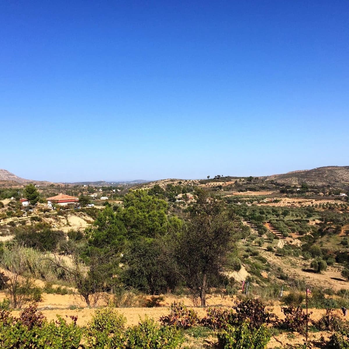 1 soveværelse Finca/Landehus til salg i Macastre - € 50.000 (Ref: 8324916)