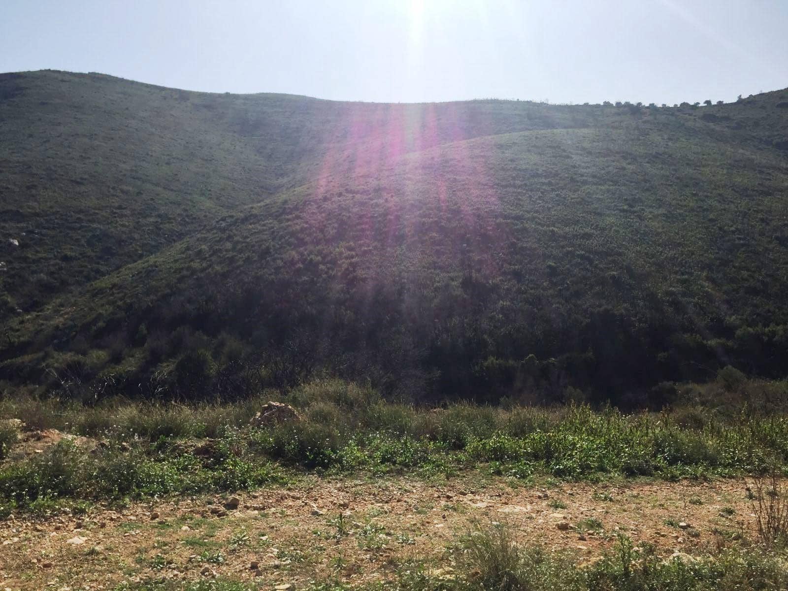 1 soveværelse Finca/Landehus til salg i Macastre - € 50.000 (Ref: 8324916)