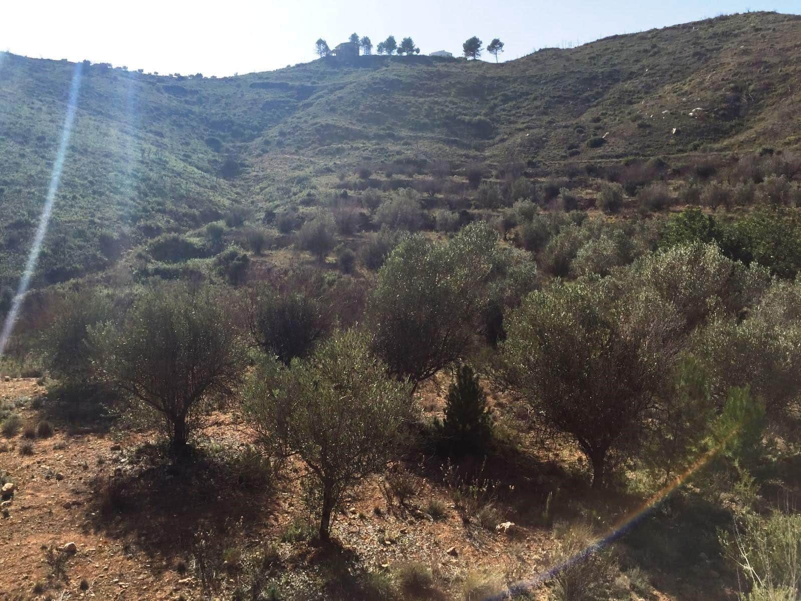 1 soveværelse Finca/Landehus til salg i Macastre - € 50.000 (Ref: 8324916)