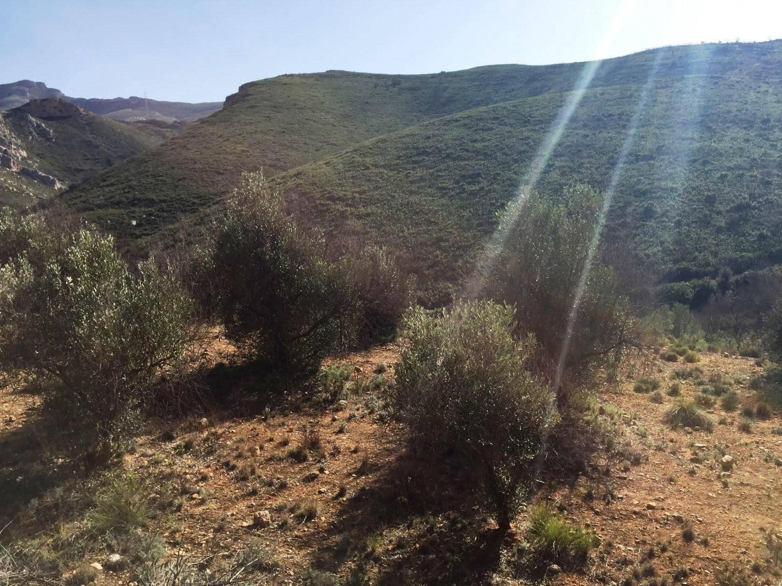 1 soveværelse Finca/Landehus til salg i Macastre - € 50.000 (Ref: 8324916)