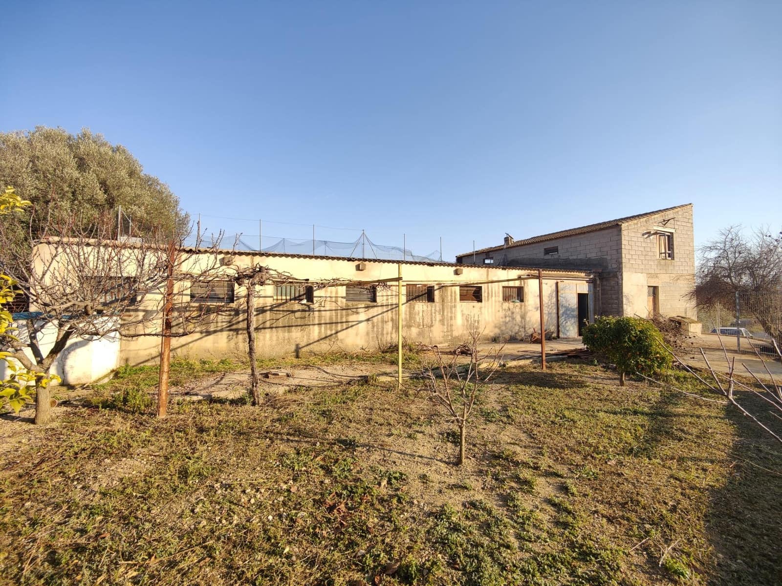 Virksomhed til salg i Macastre - € 60.000 (Ref: 8538738)