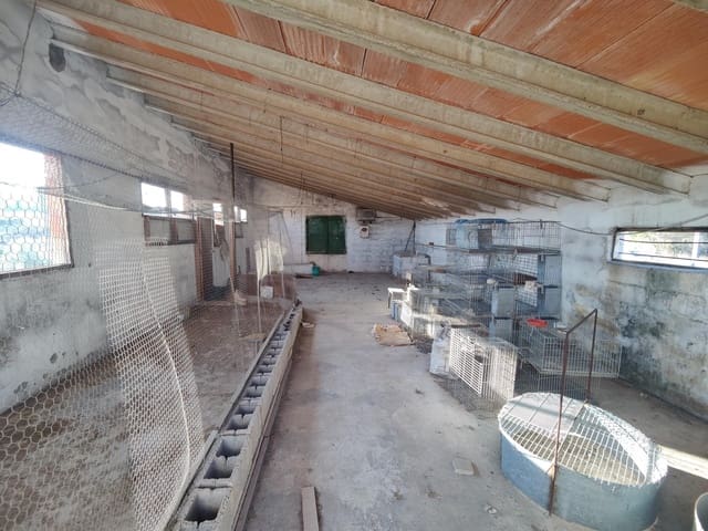 Bedrijf te koop in Macastre - € 60.000 (Ref: 8538738)