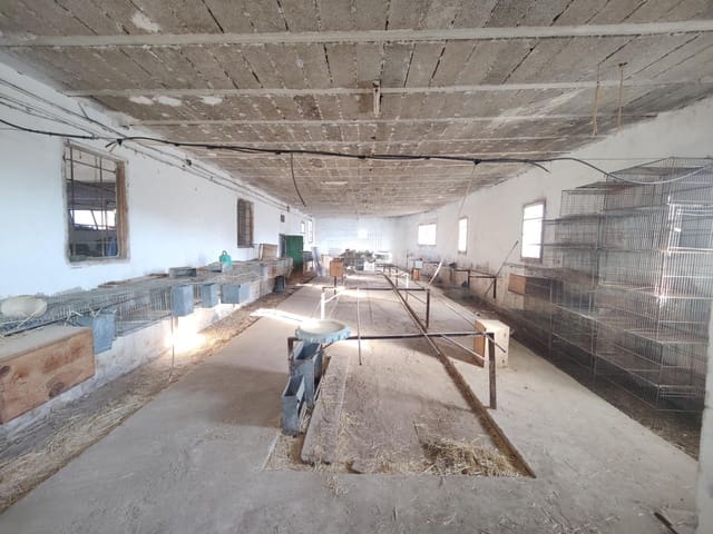 Bedrijf te koop in Macastre - € 60.000 (Ref: 8538738)