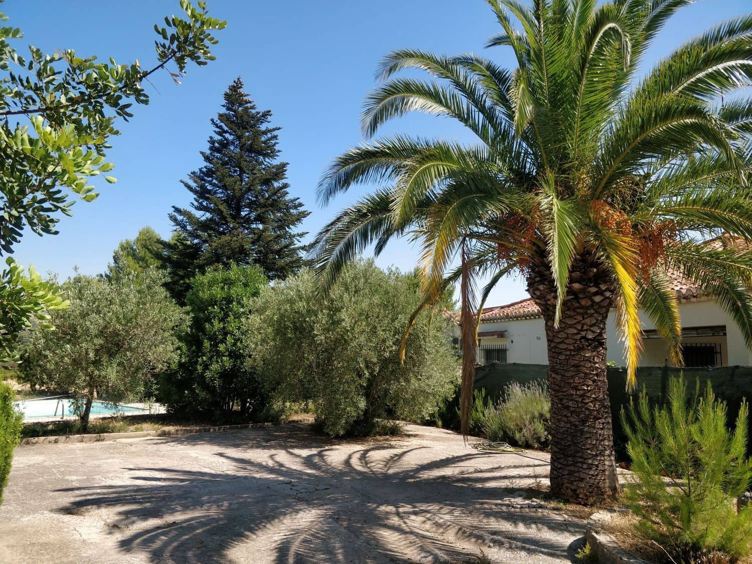 5 soveværelse Villa til salg i Macastre med swimmingpool garage - € 340.000 (Ref: 8551192)