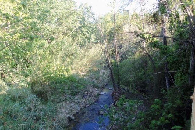 Bedrijf te koop in Buñol - € 45.000 (Ref: 8570657)