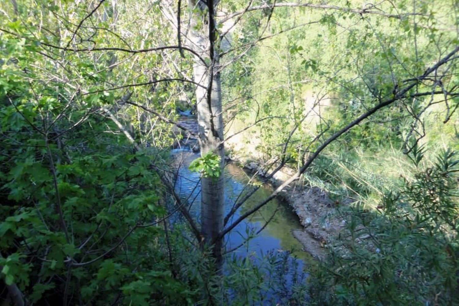 Virksomhed til salg i Bunol - € 45.000 (Ref: 8570657)