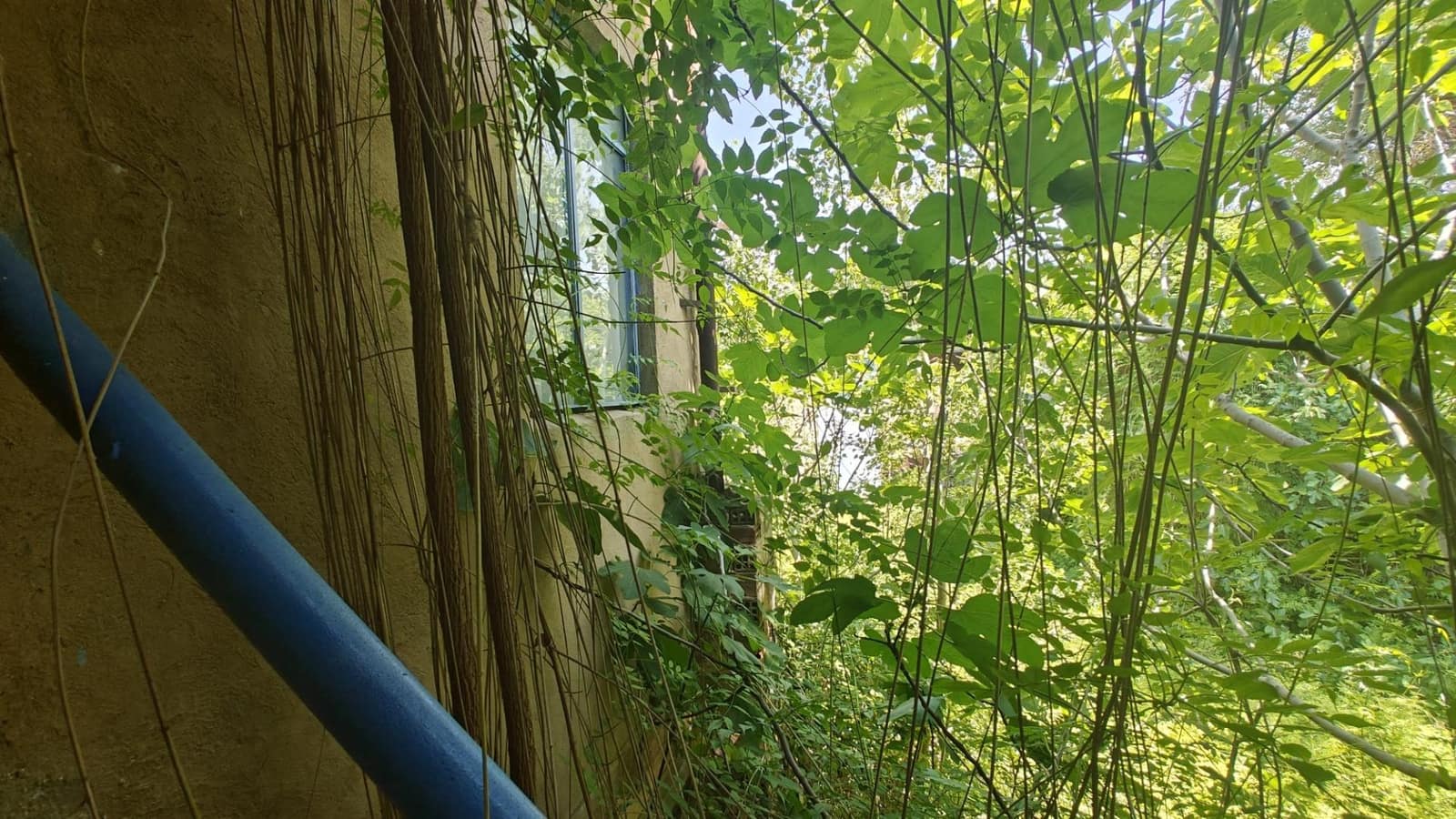 Yritys myytävänä paikassa Bunol - 45 000 € (Ref: 8570657)