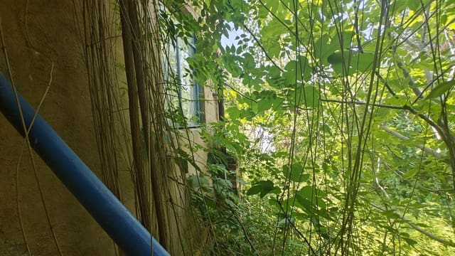 Virksomhed til salg i Buñol - € 45.000 (Ref: 8570657)