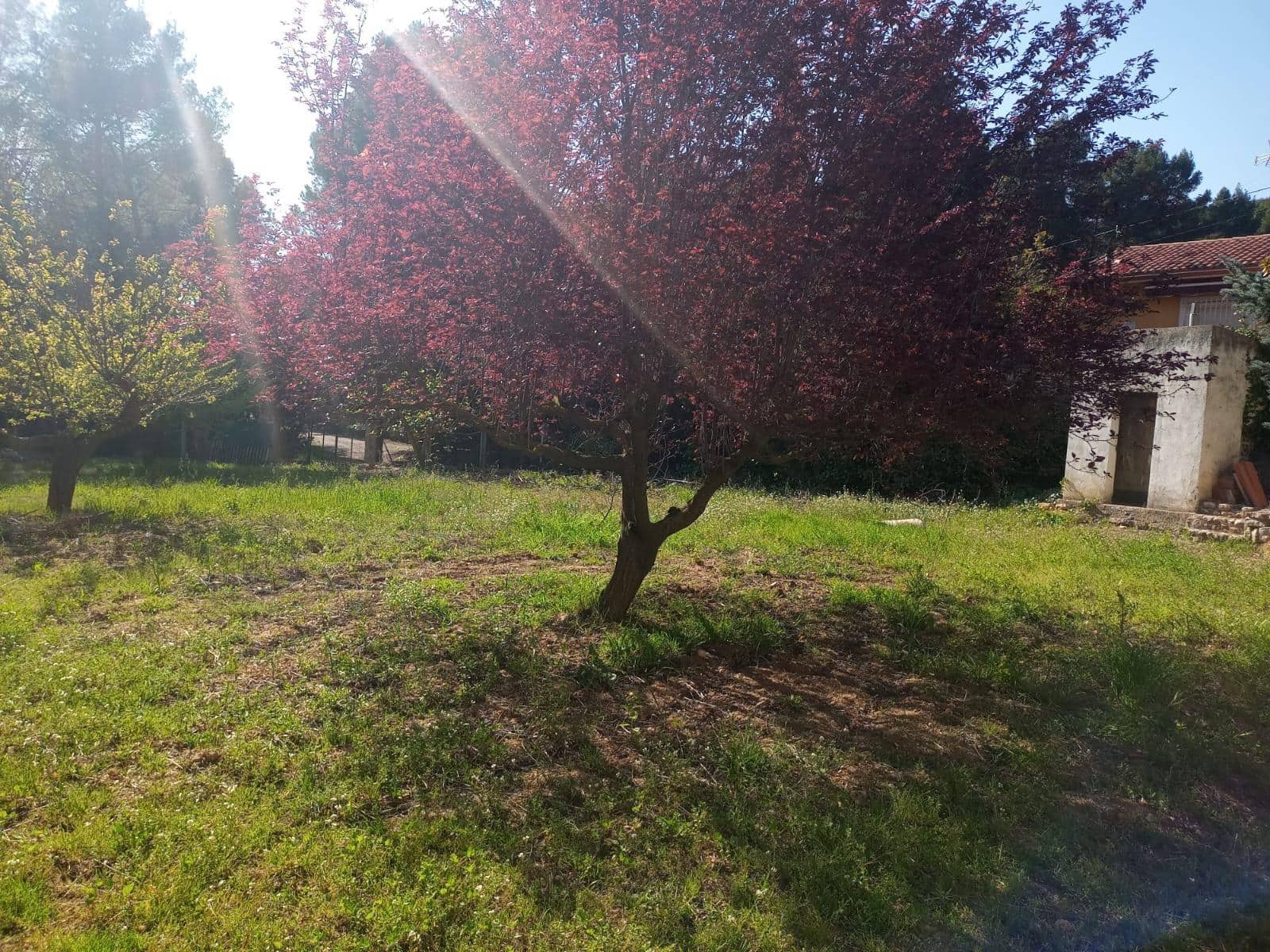 2 soveværelse Villa til salg i Bunol - € 280.000 (Ref: 8599586)