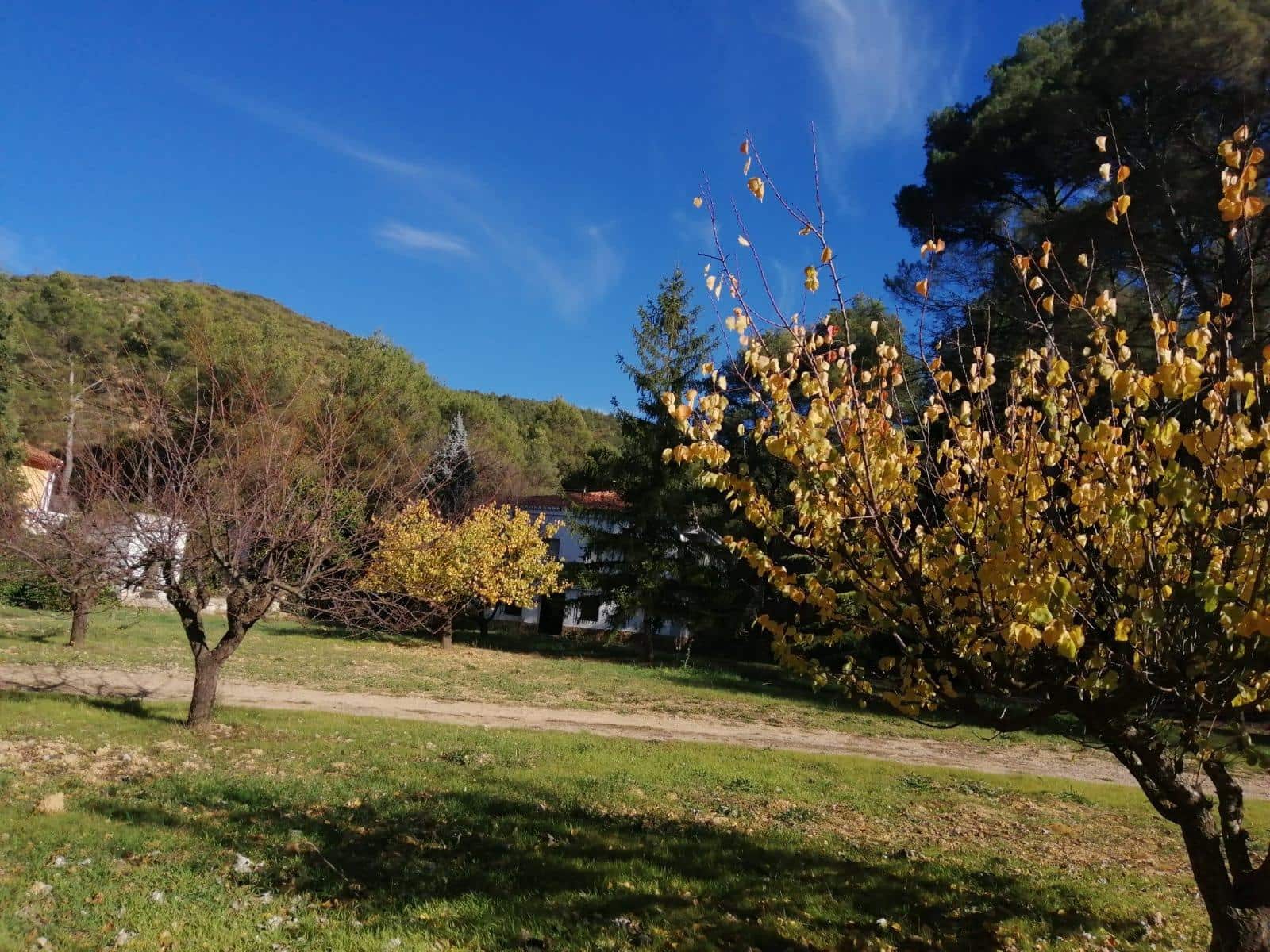 2 soveværelse Villa til salg i Bunol - € 280.000 (Ref: 8599586)