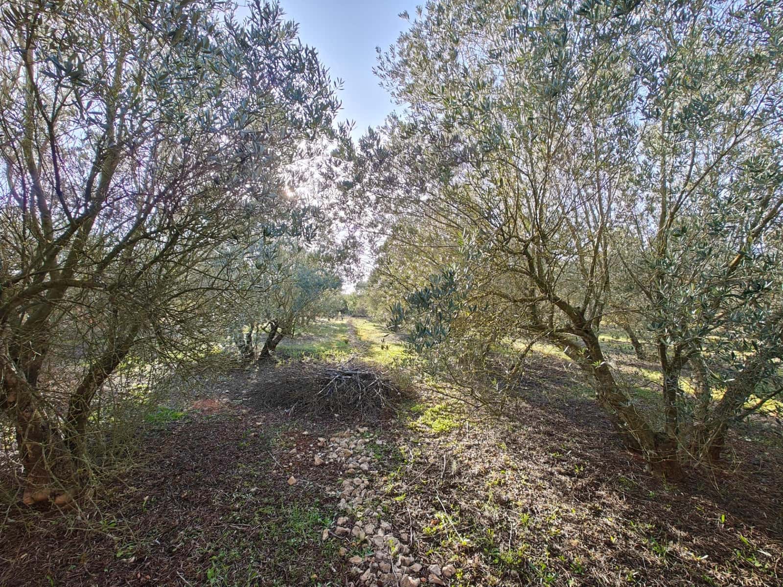 3 chambre Villa/Maison à vendre à Dos Aguas avec piscine garage - 67 000 € (Ref: 8792637)