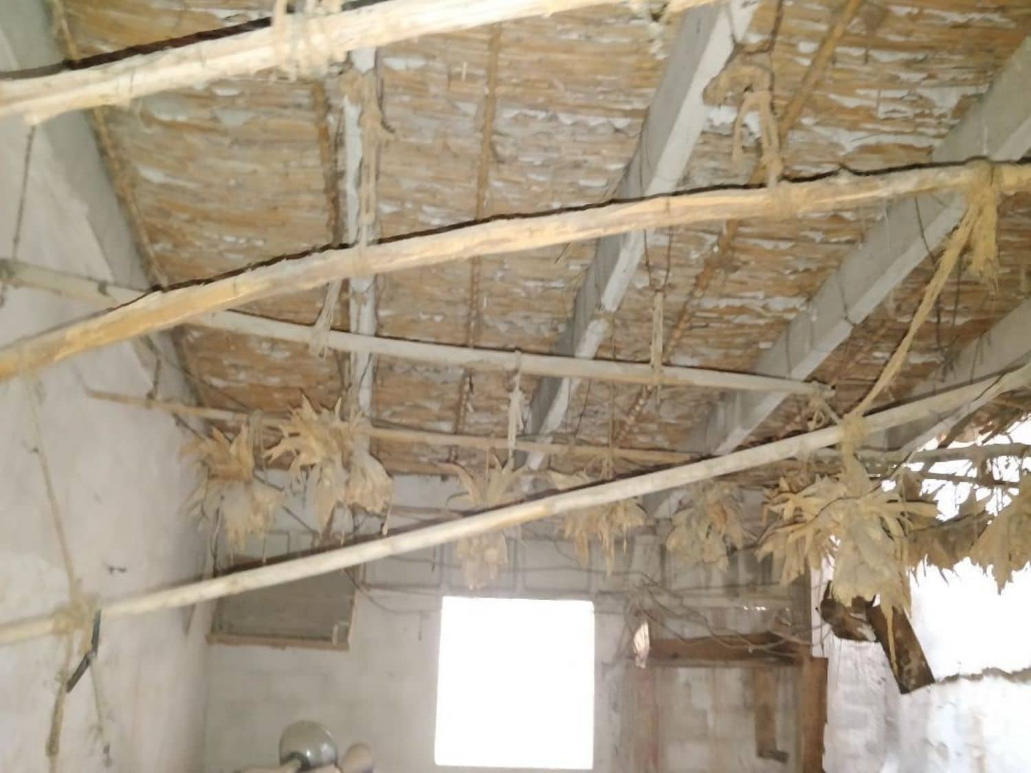 Byggegrund til salg i Bunol - € 40.000 (Ref: 9164774)