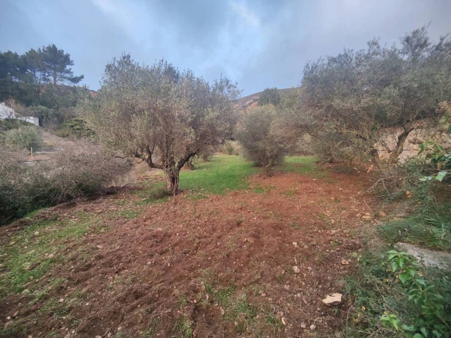 Finca/Casa Rural de 3 habitaciones en Buñol en venta con garaje - 100.000 € (Ref: 9347186)