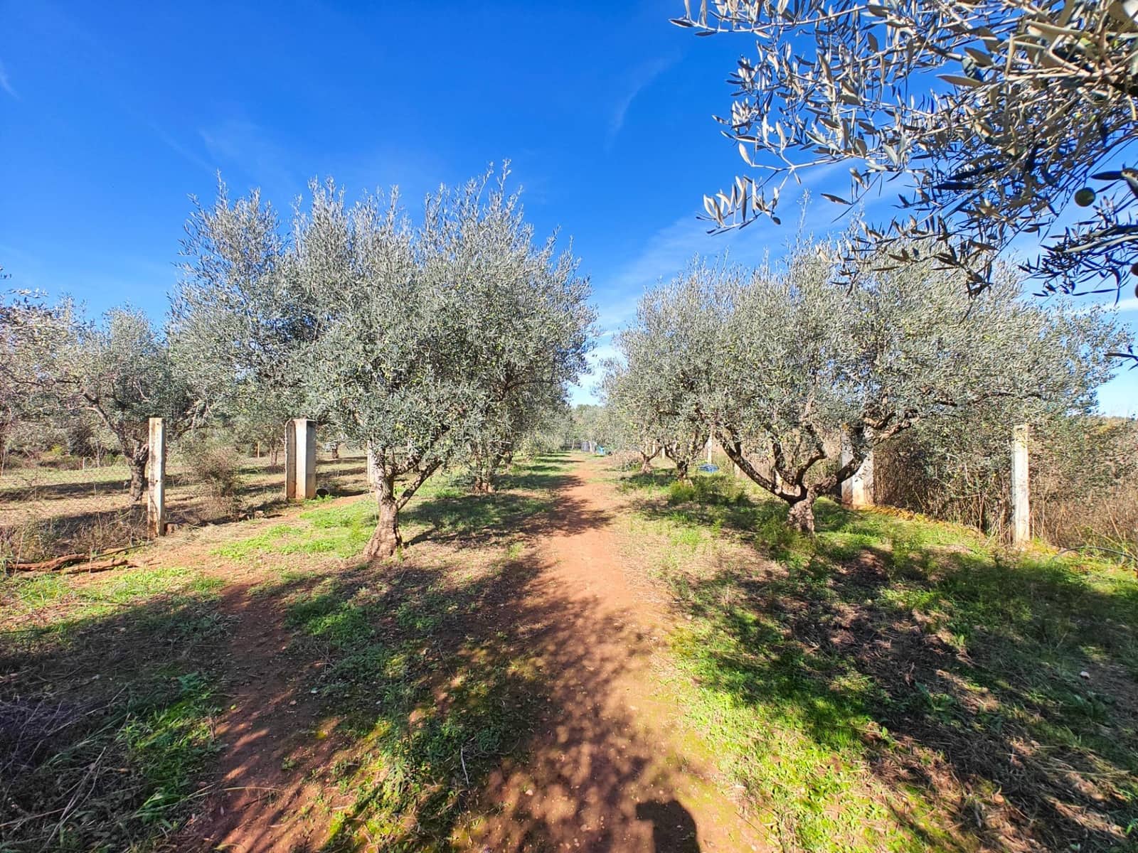 2 chambre Finca/Maison de Campagne à vendre à Alborache - 60 000 € (Ref: 9359499)