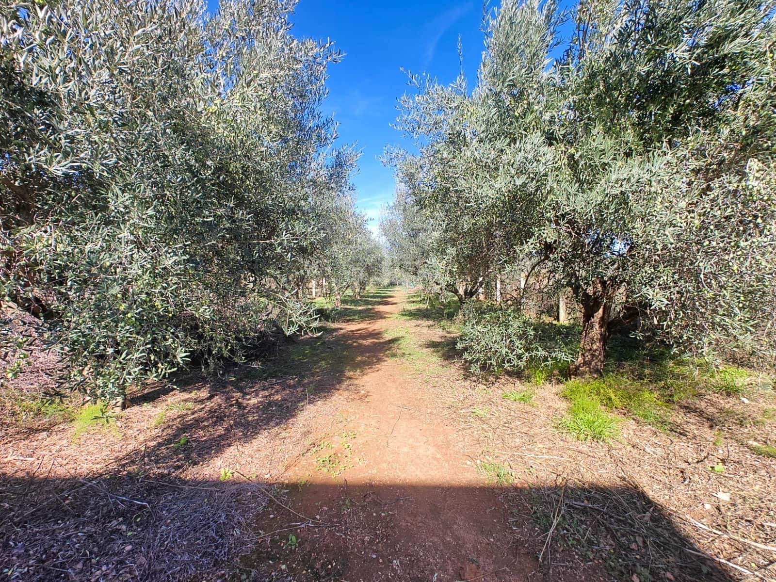 2 chambre Finca/Maison de Campagne à vendre à Alborache - 60 000 € (Ref: 9359499)