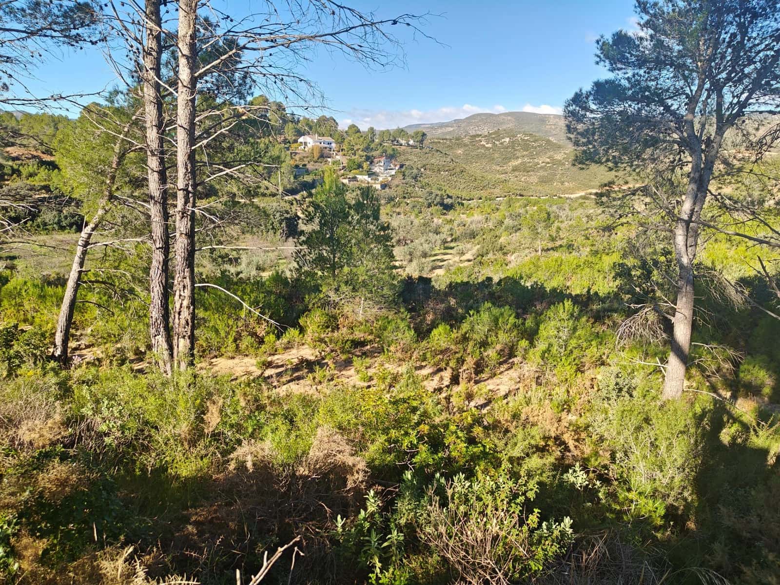 4 soveværelse Villa til salg i Macastre - € 55.000 (Ref: 9427127)