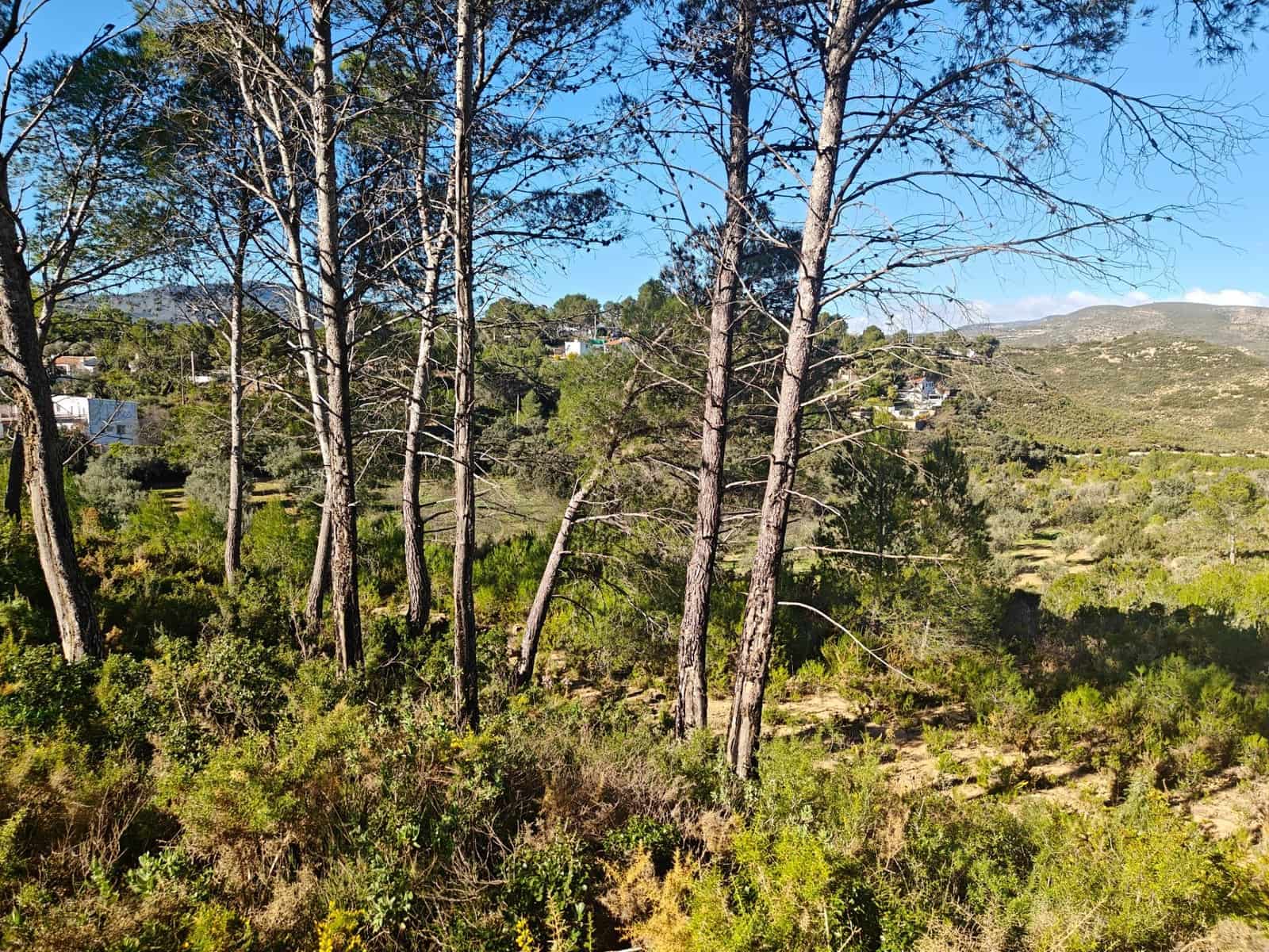 4 soveværelse Villa til salg i Macastre - € 55.000 (Ref: 9427127)