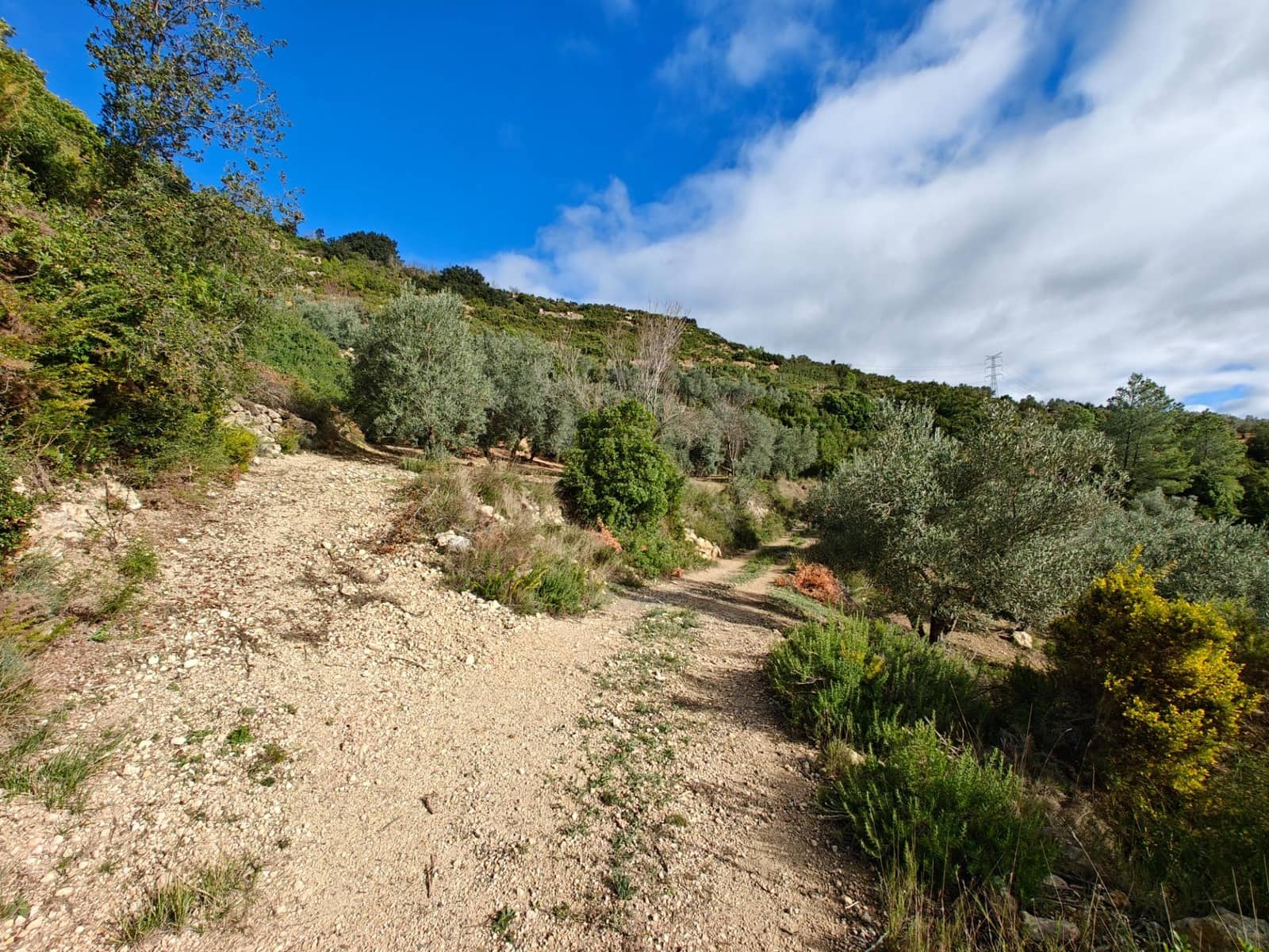 3 chambre Finca/Maison de Campagne à vendre à Dos Aguas avec garage - 78 000 € (Ref: 9433338)