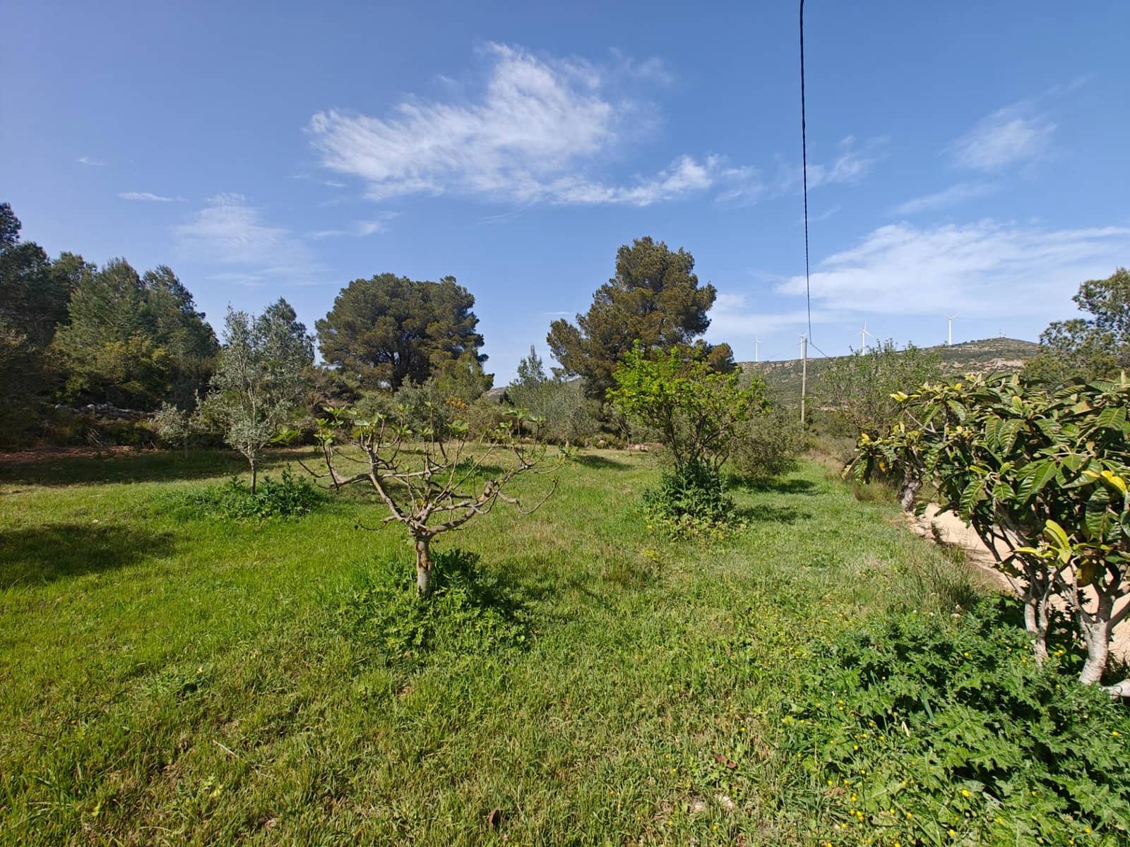 3 slaapkamer Villa te koop in Bunol - € 120.000 (Ref: 9758893)