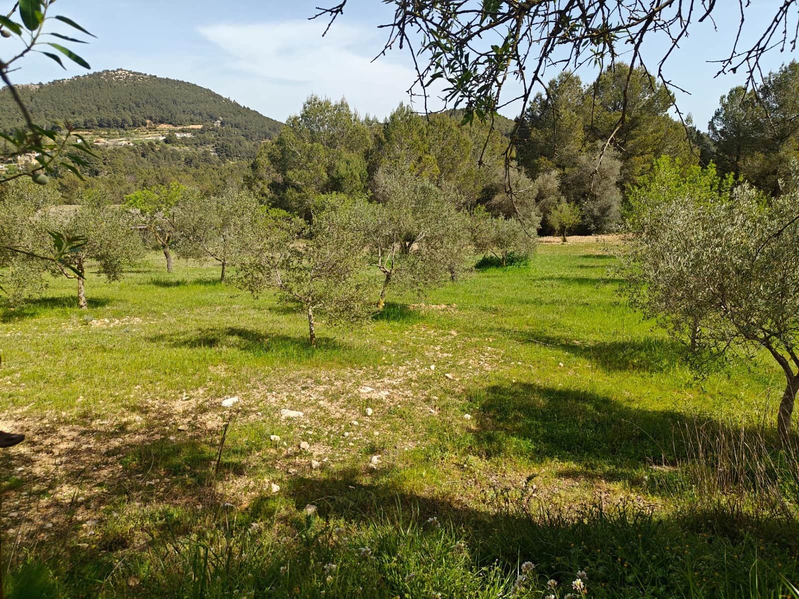 3 slaapkamer Villa te koop in Bunol - € 120.000 (Ref: 9758893)