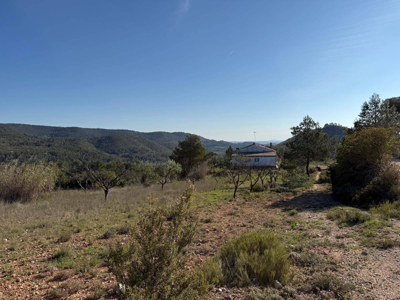 3 slaapkamer Villa te koop in Yatova - € 50.000 (Ref: 9758894)