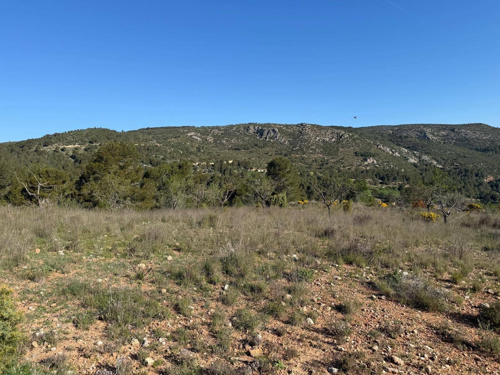 3 slaapkamer Villa te koop in Yatova - € 50.000 (Ref: 9758894)