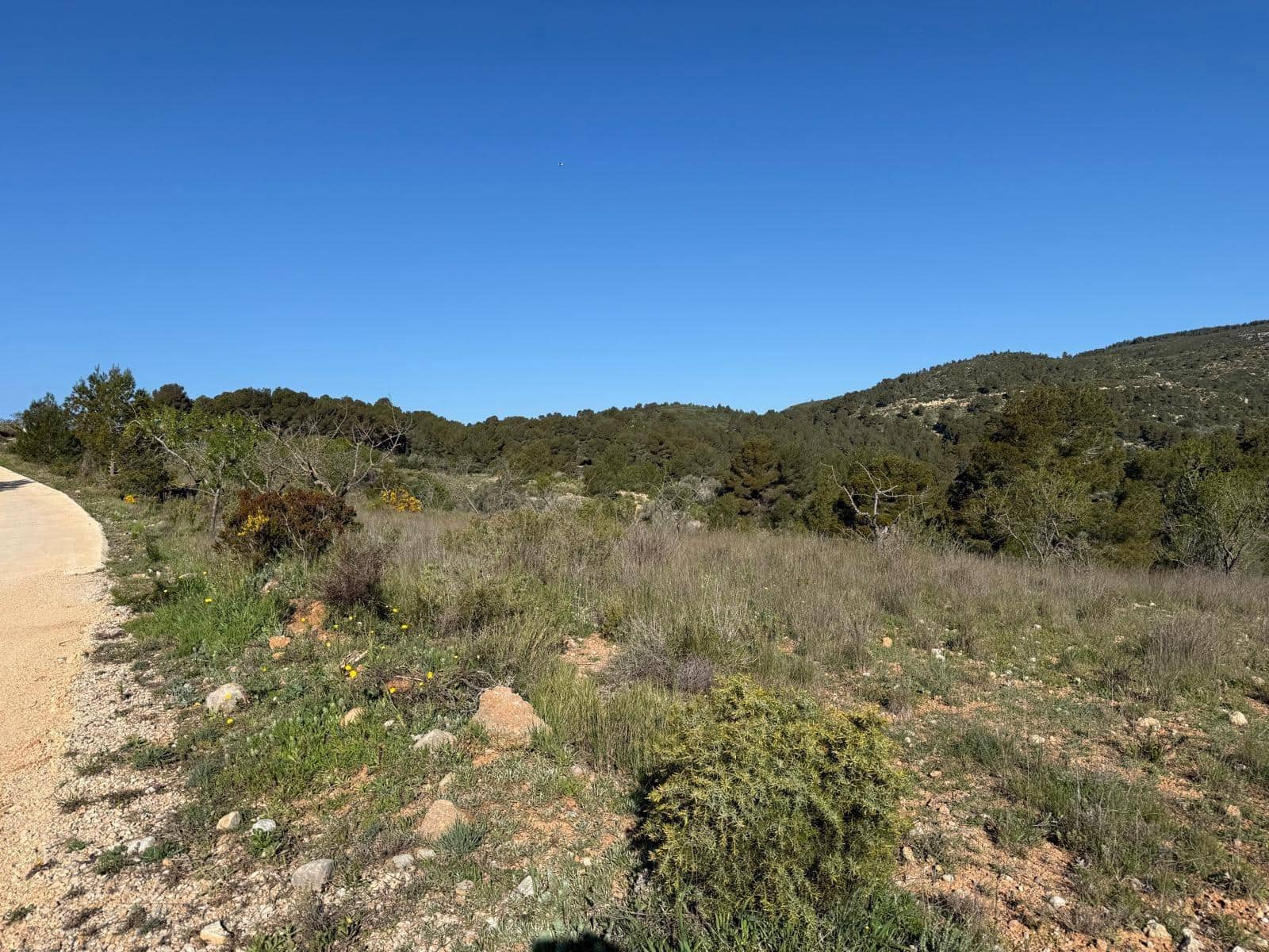 3 slaapkamer Villa te koop in Yatova - € 50.000 (Ref: 9758894)