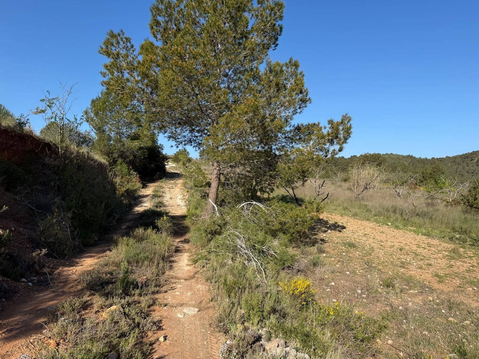 3 slaapkamer Villa te koop in Yatova - € 50.000 (Ref: 9758894)