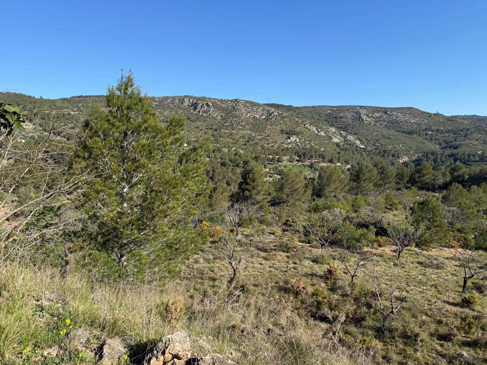 3 slaapkamer Villa te koop in Yatova - € 50.000 (Ref: 9758894)