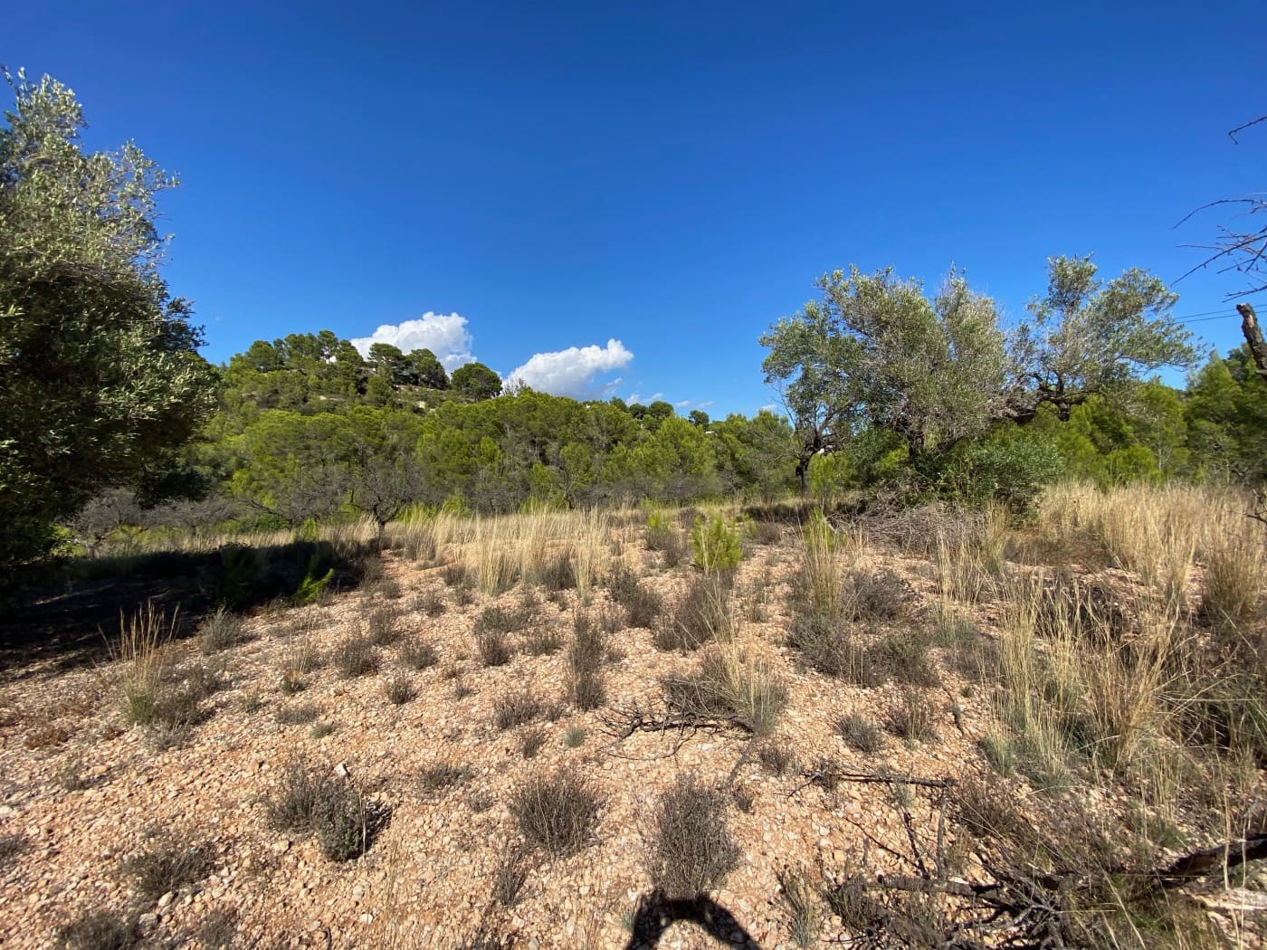 Tontti myytävänä paikassa Benissa - 230 000 € (Ref: 5763960)