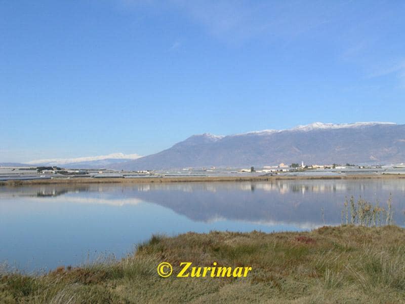 Apartment for sale in Roquetas de Mar with pool garage - € 155,000 (Ref: 10144993)