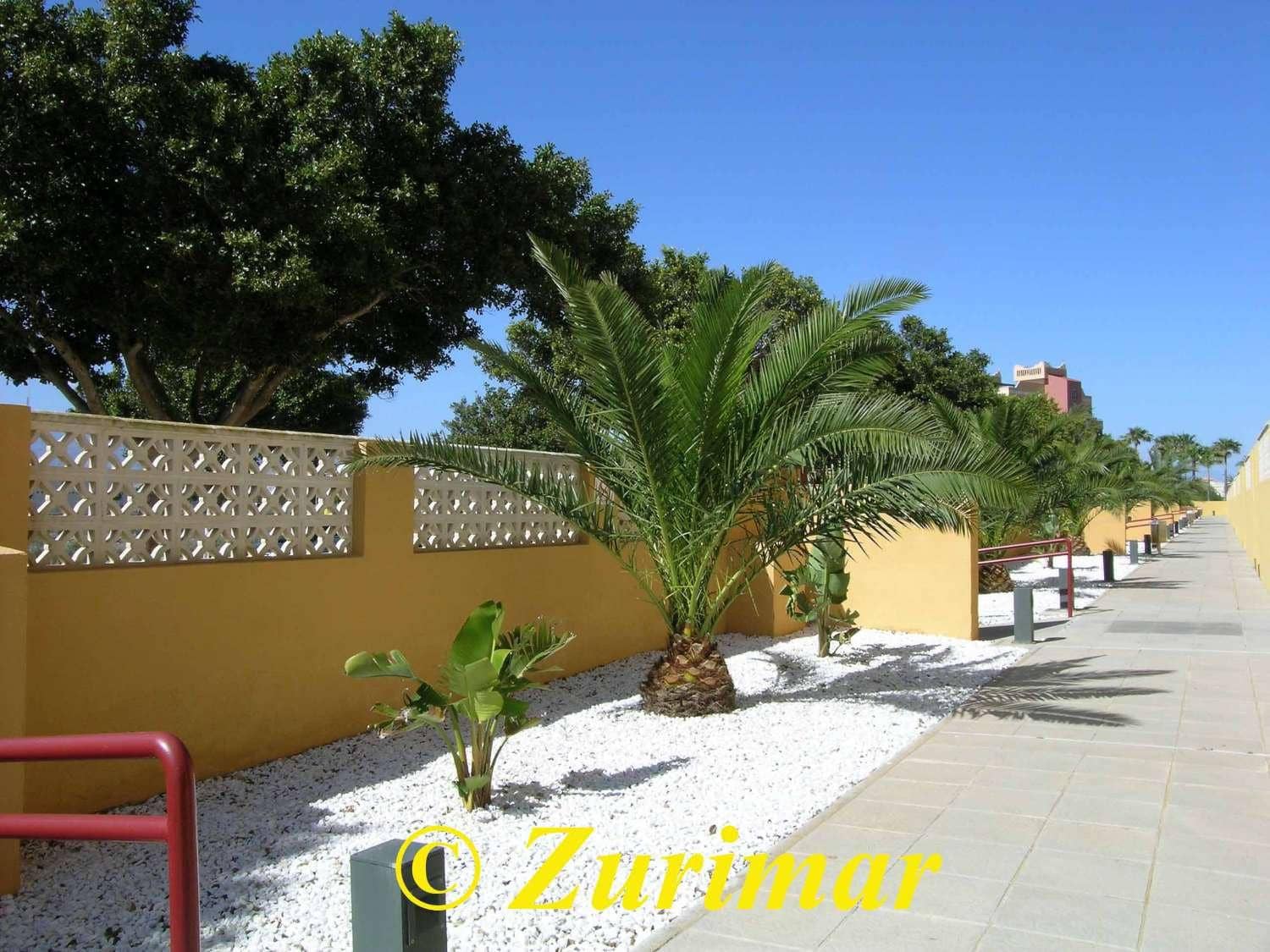 2 slaapkamer Appartement te koop in Roquetas de Mar met zwembad garage - € 215.000 (Ref: 9285143)