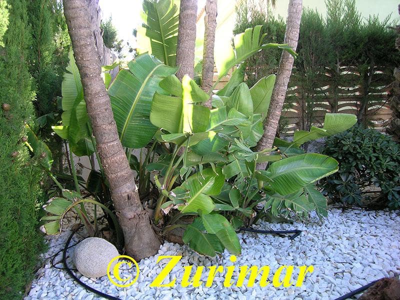 4 bedroom Villa for sale in Roquetas de Mar with pool garage - € 800,000 (Ref: 9386228)